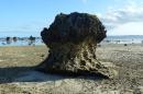 A mushroom rock at low tide at Kenutu Island